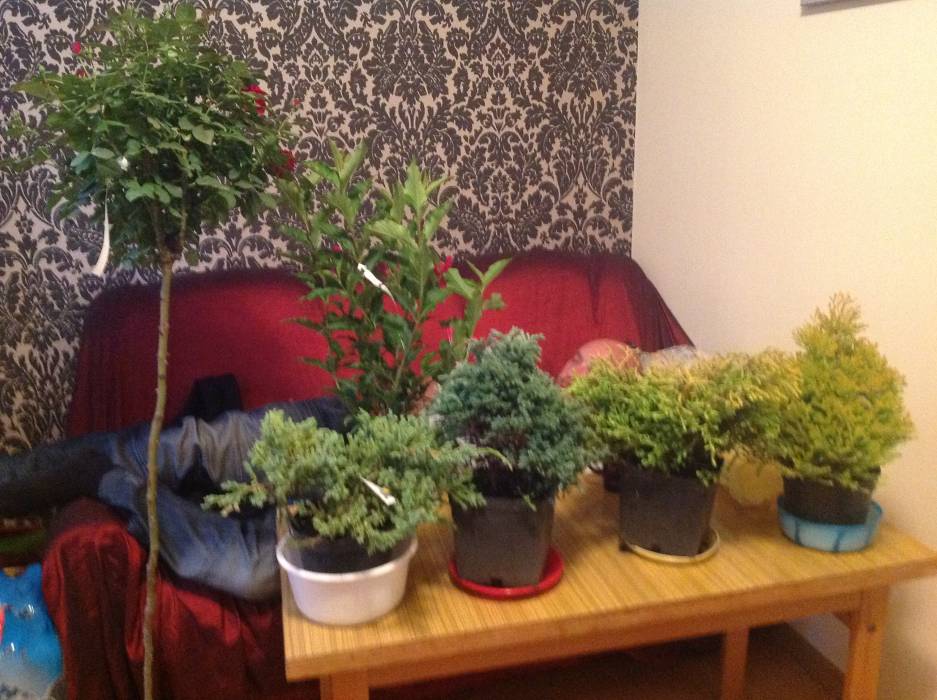 blog budowlany - mojabudowa.pl